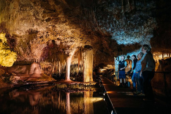 Margaret River Indulge and Discover Day Tour - Key things you’ll notice on this Margaret River “indulge and discover” day