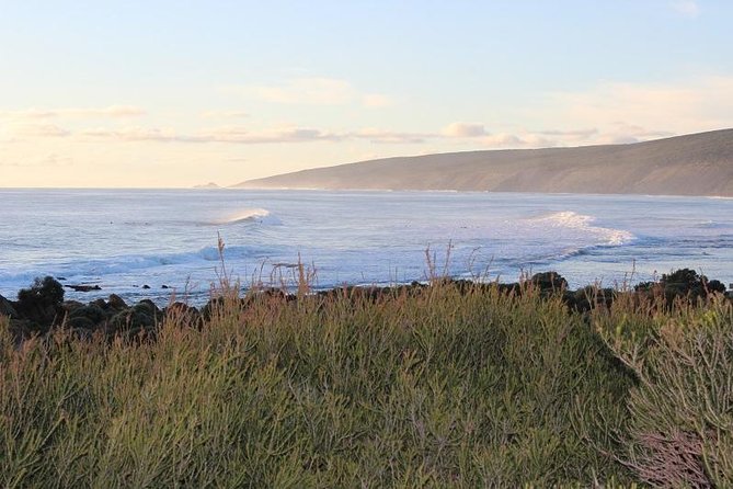 Margaret River Indulge and Discover Day Tour - A Margaret River day that actually covers more than wine