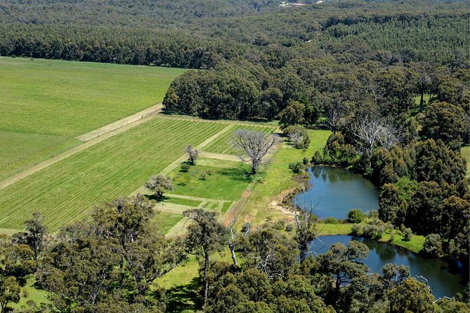 Margaret River Indulge and Discover Day Tour - McHenry Hohnen Vintners and why minimal-intervention wines feel different