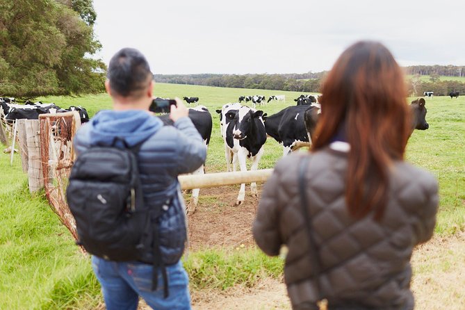 Margaret River Indulge and Discover Day Tour - Vasse Felix style lunch at the Vintners Wine Bar, the midday payoff