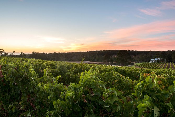 Margaret River Indulge and Discover Day Tour - Wild Hop Brewing Company finish, cleansing ale on your own tab