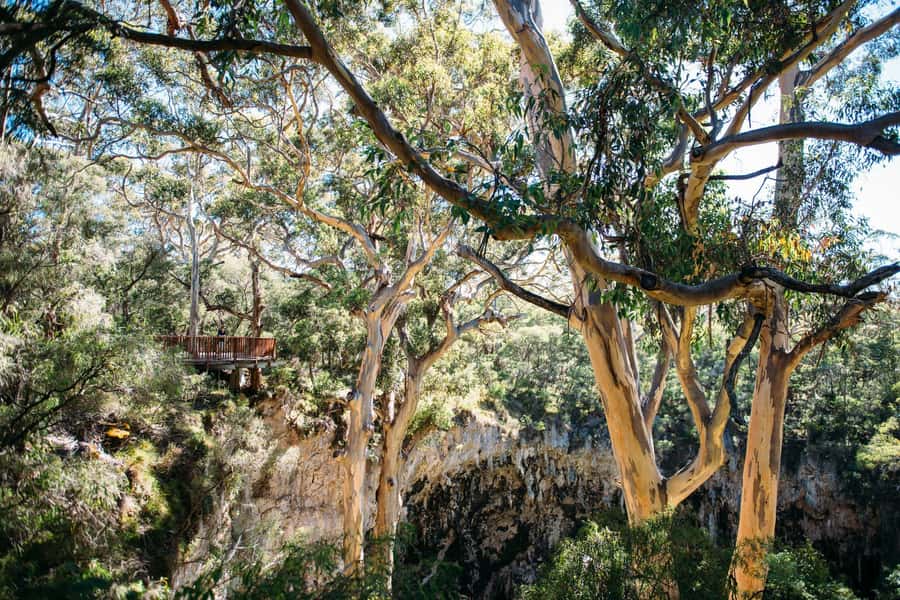 Margaret River: Lake Cave Fully-Guided Tour - Key highlights you should care about