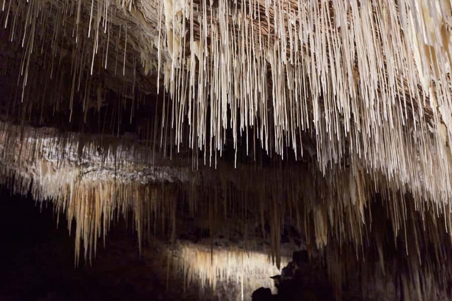 Margaret River: Lake Cave Fully-Guided Tour - The suspended table formation, plus why the light show works