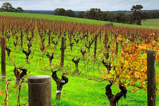 Margaret River Private Day Tours - Ngilgi Cave: Plan for Entry and Pace