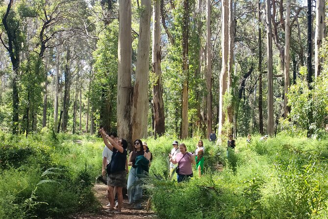 Margaret River Region Impression Day Tour from Perth - Sea Garden Cafe lunch with ocean views