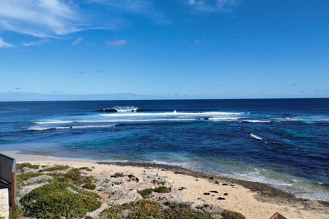 Margaret River Region Impression Day Tour from Perth - Boranup Karri Forest: 50-meter trees and a calmer pace