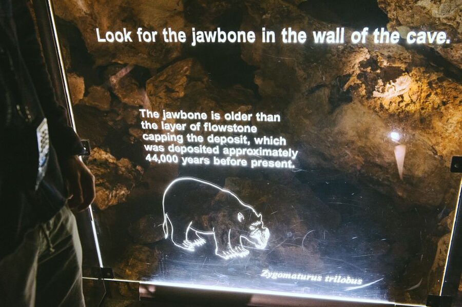 Margaret River: Self-Guided Audio Tour of Mammoth Cave - Should You Book Mammoth Cave Audio? My Take