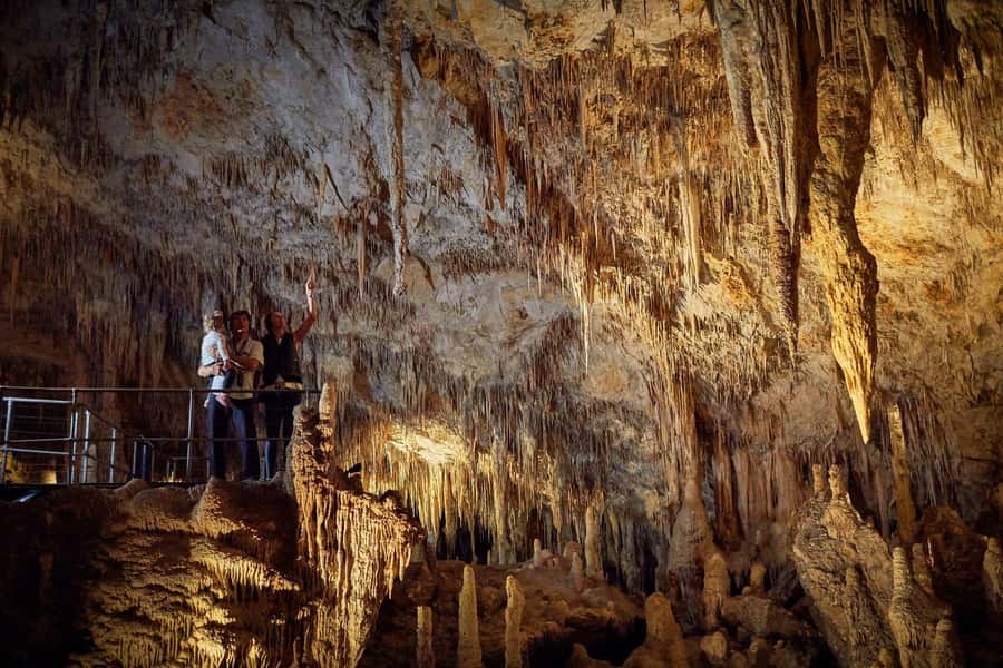 Margaret River: Self-Guided Audio Tour of Mammoth Cave - The Cave’s Fossil Story: 10,000 Finds and Extinct Giants