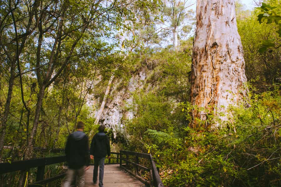 Margaret River: Self-Guided Audio Tour of Mammoth Cave - Wheelchair Access: What’s Included, What Needs a Call