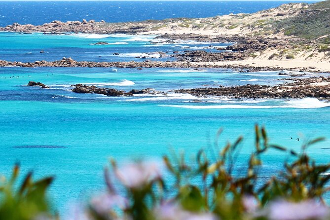 Margaret River Wine and Sights Discovery Tour from Busselton or Dunsborough - Why this half-day tour works so well for first-timers
