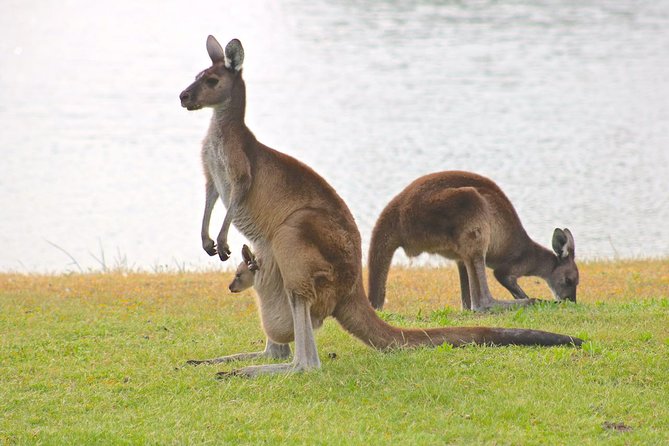 Margaret River Wine and Sights Discovery Tour from Busselton or Dunsborough - Stop 2 with South West Eco Discoveries: two wineries and a gourmet producer