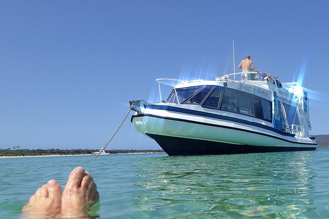 Maria Island Cruise and Guided Walk Day Tour with Lunch and Drinks - The scenic cruise: wildlife spotting plus geology you can actually use