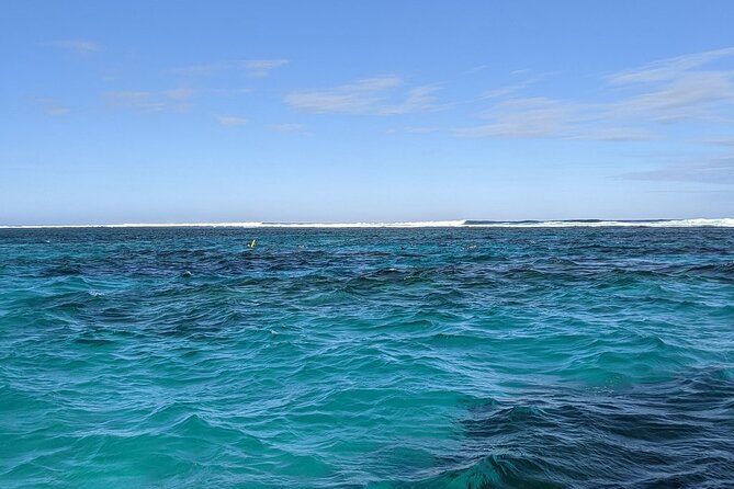 Marine Eco Safari - Swim with Manta Rays - Bateman’s Bay manta-ray swim, powered by the spotter plane