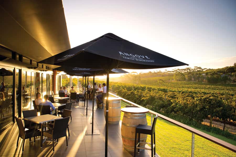 McLaren Vale North: Hop-On Hop-Off Tour - Where pickup fits into your day (and why it matters)