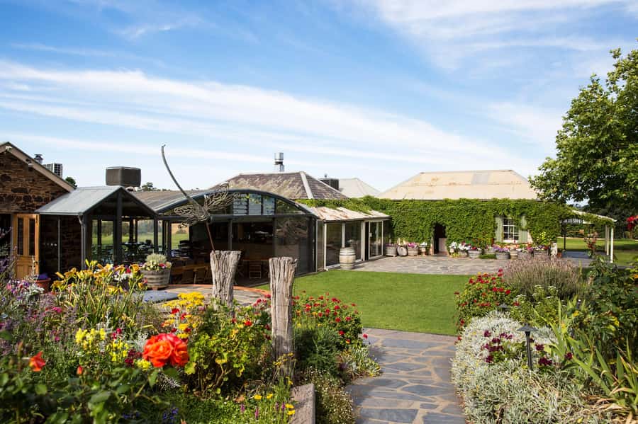McLaren Vale North: Hop-On Hop-Off Tour - Guides on board: where the names you see in feedback really matter