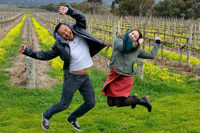 McLaren Vale Small Group Wine Tour - Key highlights worth planning for