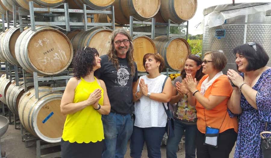 McLaren Vale: Small Group Wine Tour (Includes Lunch) - The winery mix: boutique cellar doors, smoother flow, and a local perspective