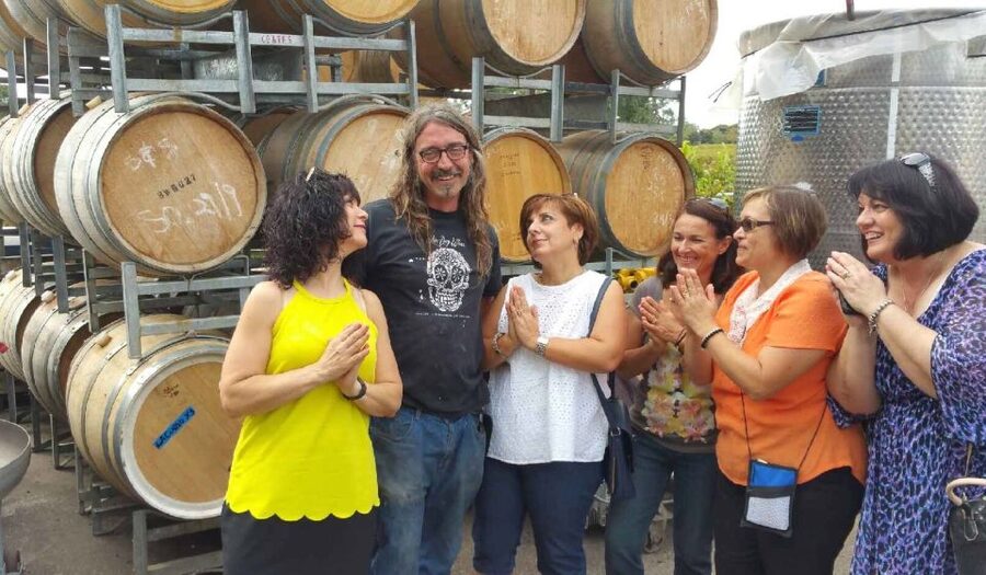 McLaren Vale: Small Group Wine Tour (Includes Lunch) - Who should book this tour, and who might want a different plan