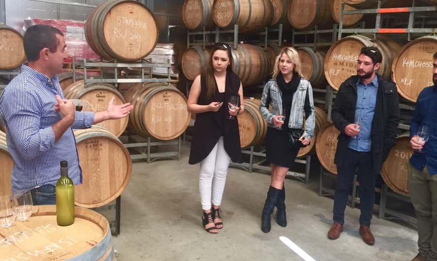 McLaren Vale: Small Group Wine Tour (Includes Lunch) - Pickup, timing, and how the 8-hour loop feels in real life