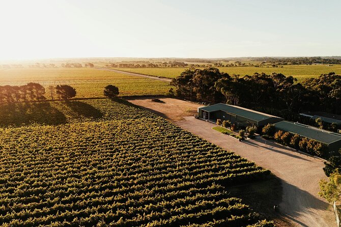 McLaren Vale South Hop-On Hop-Off Winery Tour - Key highlights that matter before you book