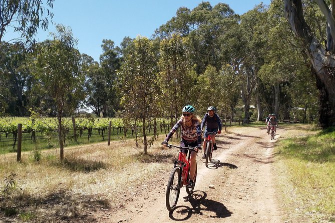 McLaren Vale Wine Tour by Bike - Kuitpo Forest and the Kidman Trail: why the biking part is the star