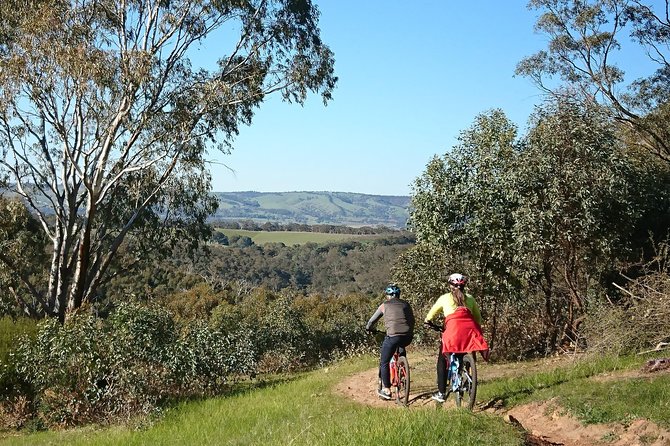McLaren Vale Wine Tour by Bike - Winery tastings at two stops: more fun because you are not rushed