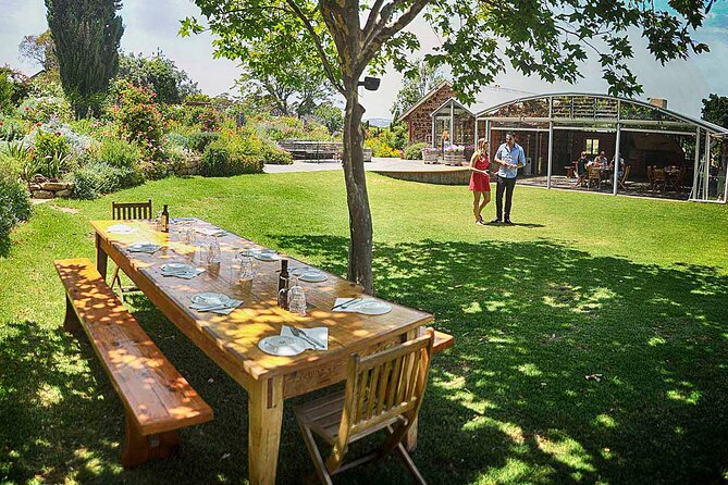 McLaren Vale Winery Small Group Tour with Wine Tasting and Lunch - Quick hits before you go