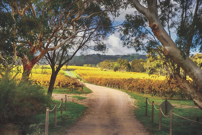 McLaren Vale Winery Small Group Tour with Wine Tasting and Lunch - Adelaide to McLaren Vale in one day, with coastal views as your warm-up