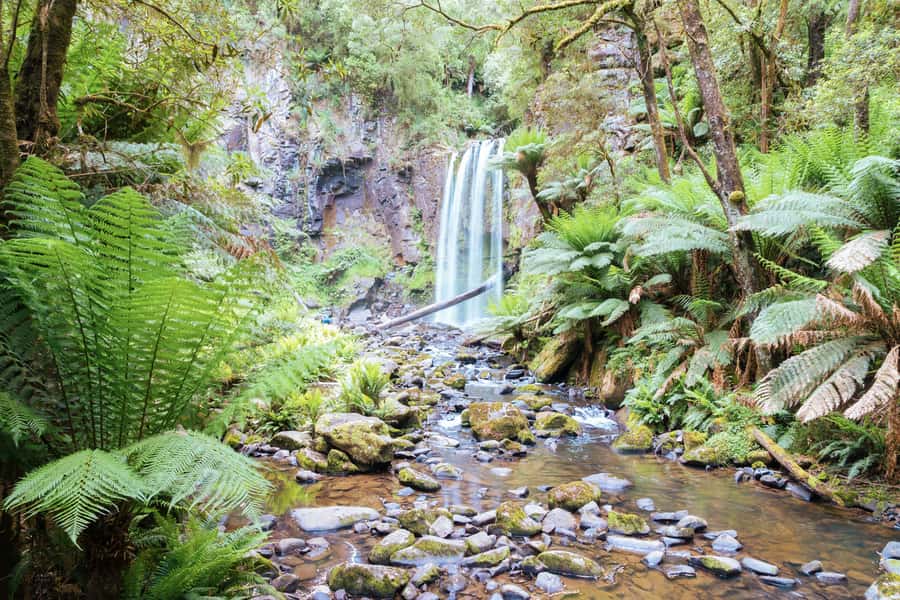 Melbourne: 12 Apostles, Otways & Great Ocean Road Day Tour - Why this Great Ocean Road day feels focused, not rushed