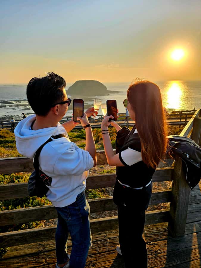 Melbourne: Boutique Phillip Island Wine, Dine & Penguin Tour - Start at Arts Centre Melbourne, then settle in on the premium coach