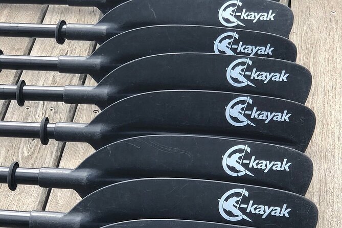 Melbourne City Sights Kayak Tour - Price: does $58.81 feel fair for central Melbourne?