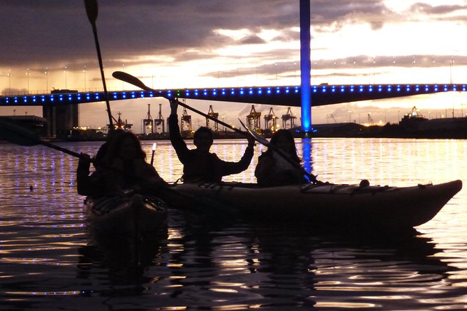 Melbourne City Twilight Kayak Tour - Herring Island and the Sculpture Park Stop