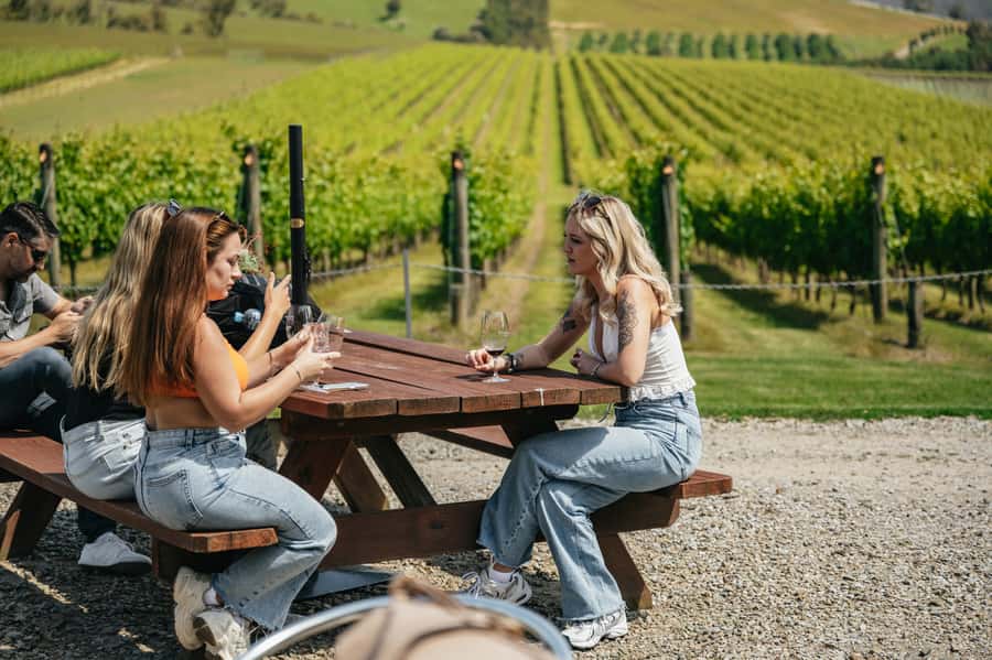 Melbourne: Full-Day Yarra Valley Wine Experience with Lunch - Key highlights worth knowing before you go