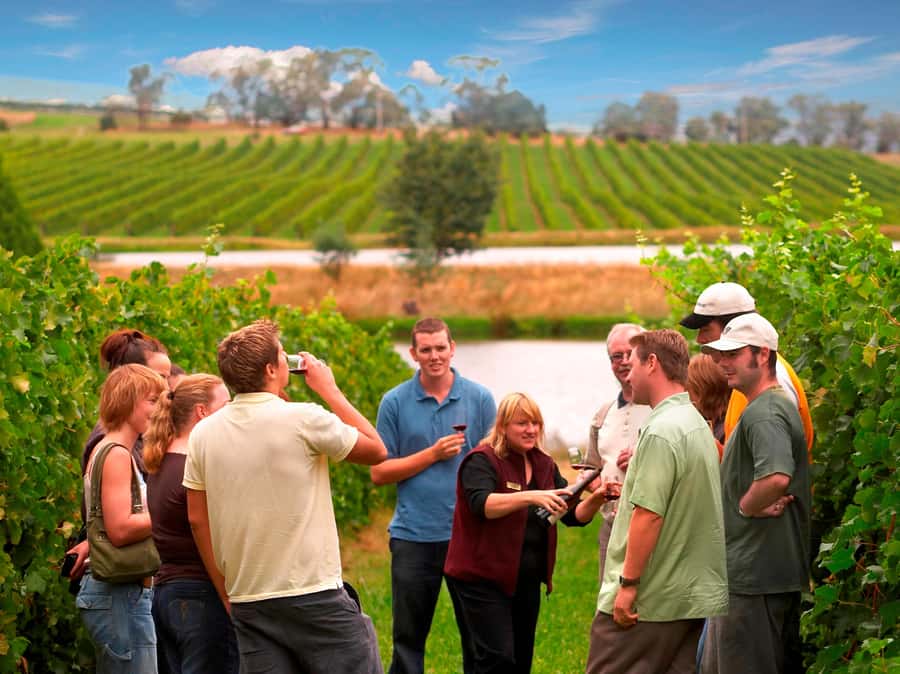 Melbourne: Full-Day Yarra Valley Wine Experience with Lunch - The day at a glance: how the timing keeps you tasting and still eating