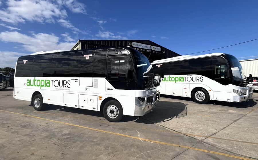 Melbourne: Great Ocean Road, 12 Apostles & Rainforest Tour - Apollo Bay lunch time, where to recharge before the park