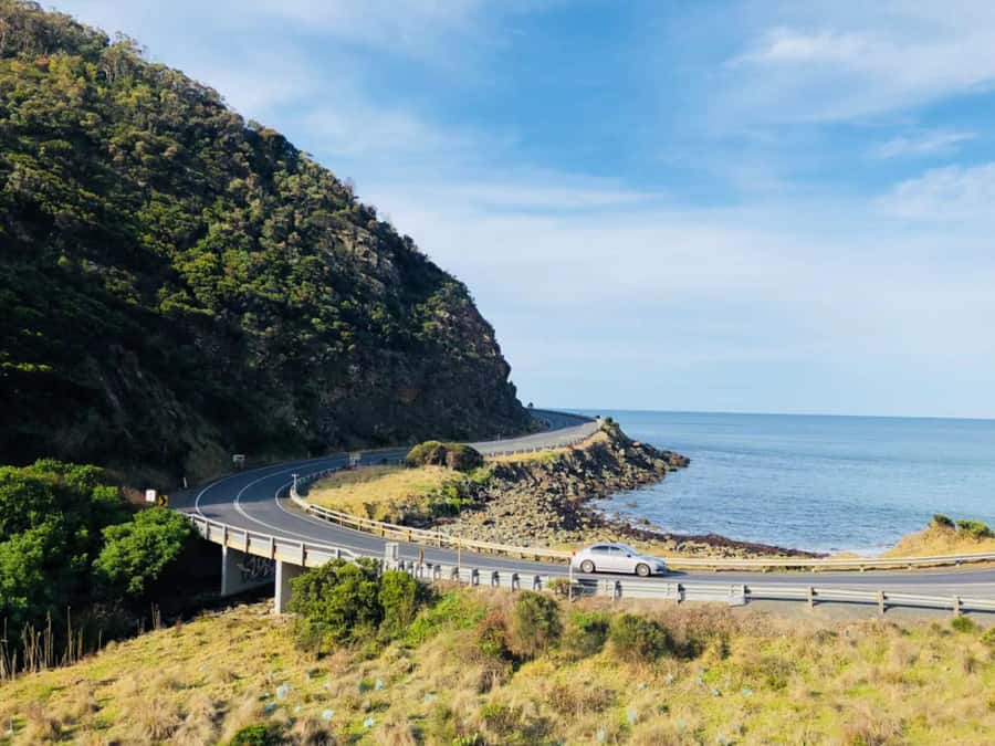 Melbourne: Great Ocean Road Max Highlights & London Bridge - Lorne and the Apollo Bay pause that keeps you sane