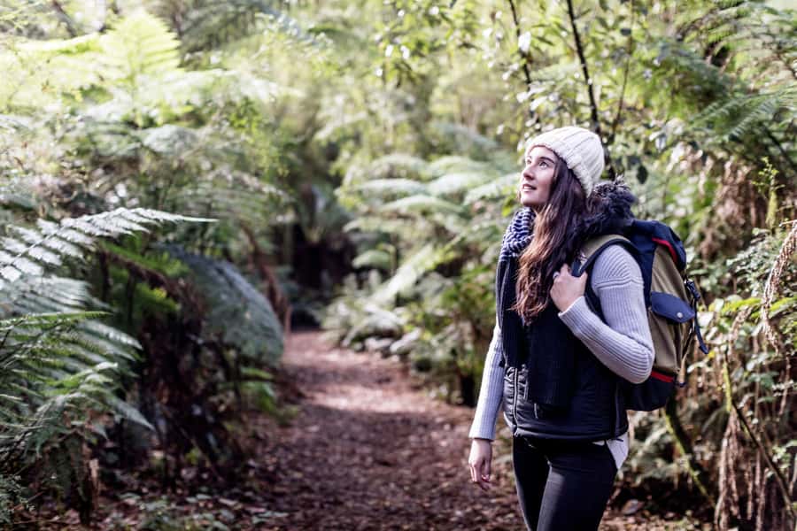 Melbourne: Great Ocean Road Ultimate 12 Apostles with Lunch - Price and value at $116 for a full-day icon-and-nature mix