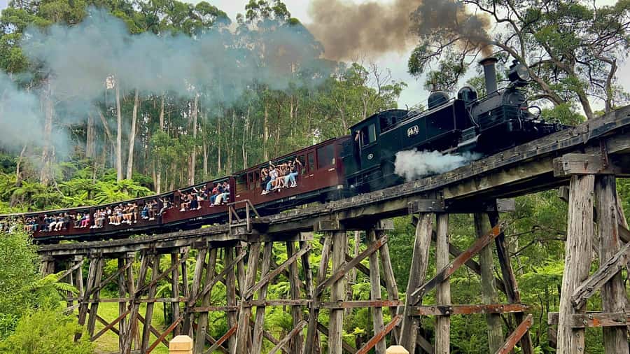 Melbourne: Half-Day Puffing Billy Steam Train Experience - Key highlights worth waking up for