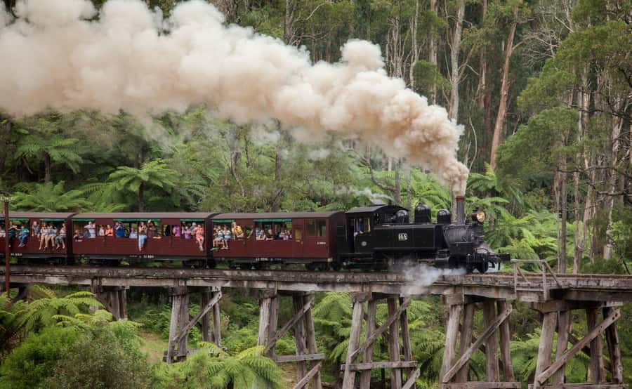 Melbourne: Half-Day Puffing Billy Steam Train Experience - Price and value: what you’re really paying for