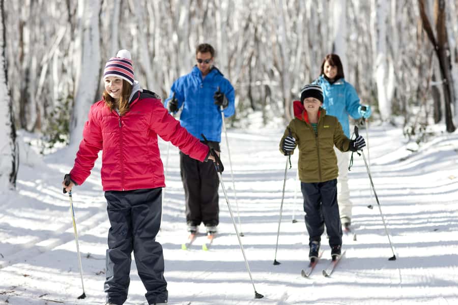 Melbourne: Lake Mountain Snow Guided Tour - Steavenson Falls walk, five cascades and a 122-meter drop