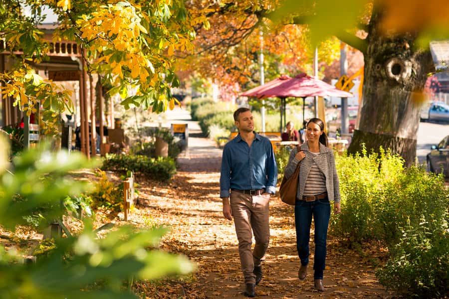 Melbourne: Lake Mountain Snow Guided Tour - Price and what you truly get for $104 per person