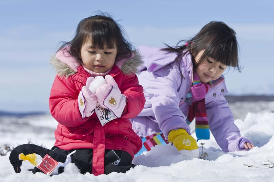Melbourne: Lake Mountain Snow Guided Tour - Who should book this Lake Mountain guided snow day?