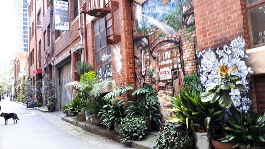 Melbourne Laneways Tour - Architecture and city origins, told between old buildings and new art