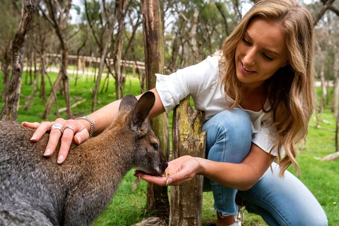 Melbourne Like a Local, Private & Personalized Experience (3 hrs) - Chinatown on foot, with local favorites and food tips