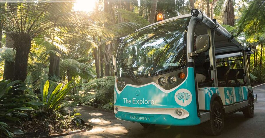 Melbourne: Melbourne Gardens Explorer Minibus Tour - Melbourne Gardens, compressed: how the minibus format helps