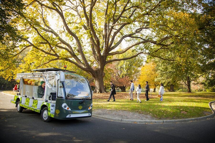 Melbourne: Melbourne Gardens Explorer Minibus Tour - Open-air comfort plus live commentary: what you get in real time