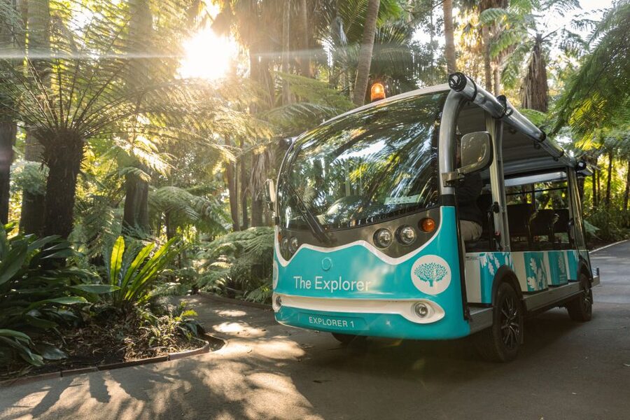 Melbourne: Melbourne Gardens Explorer Minibus Tour - Before and after the ride: how to turn a short tour into a full visit