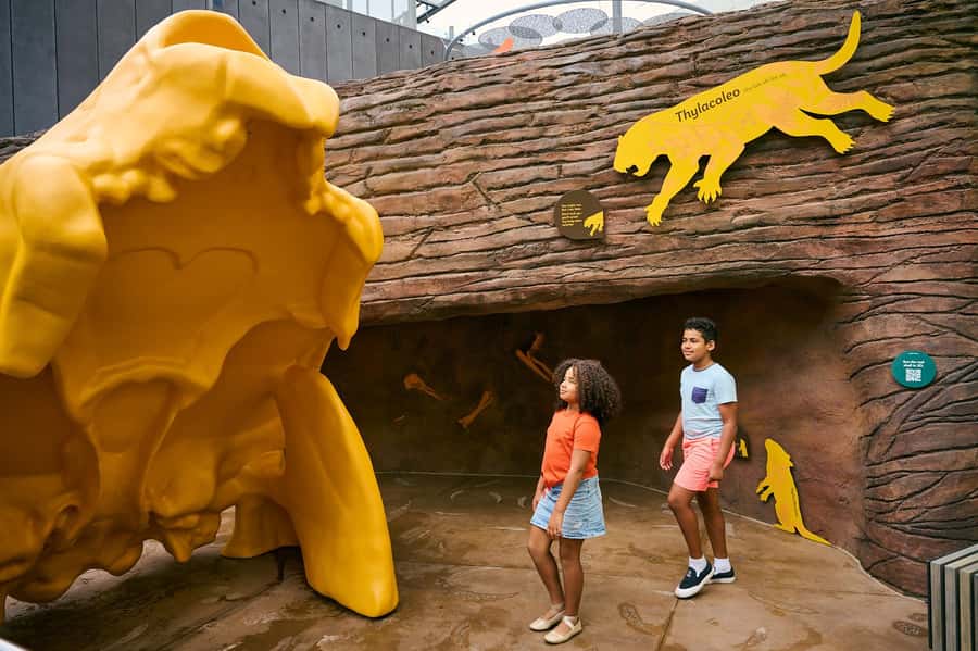 Melbourne: Melbourne Museum Entry Ticket - A $12 ticket that hits science, fossils, and culture in one day
