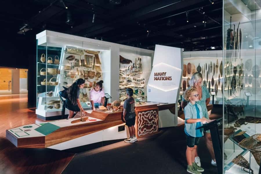 Melbourne: Melbourne Museum Entry Ticket - Forest Gallery: the museum’s wildlife and tree-filled pause