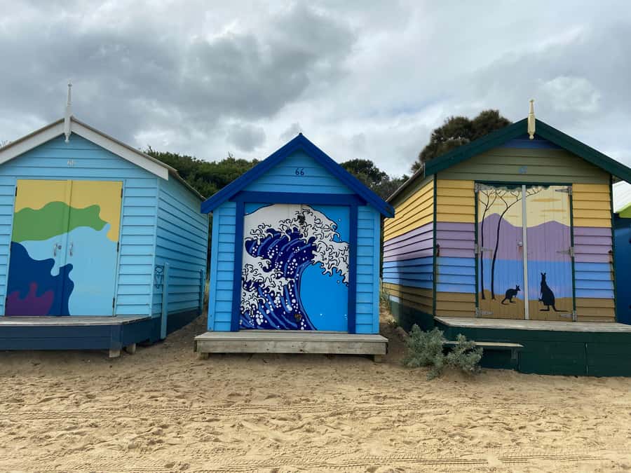 Melbourne: Moonlit Sanctuary and Brighton Beach Boxes Tour - Key points to know before you go